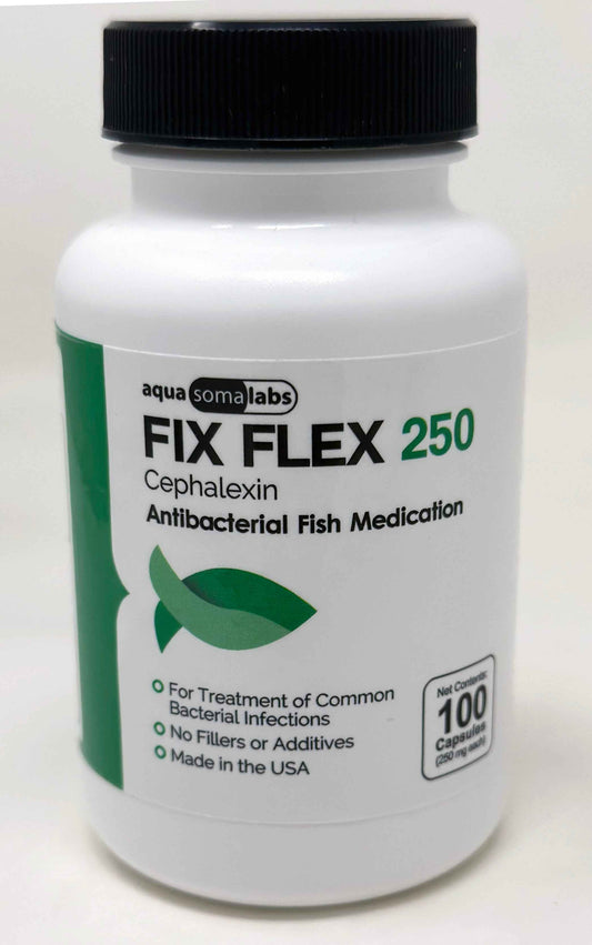 Fix Flex 250mg Capsules – 100 Count