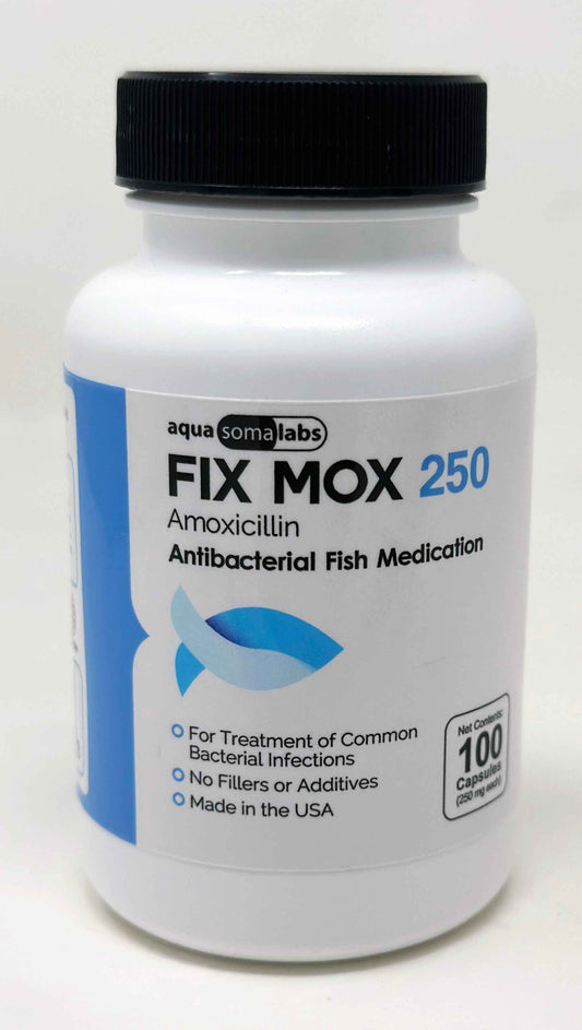 Fix Mox 250mg Amoxicillin – 100ct Fish Antibiotic Bottle for Aquariums