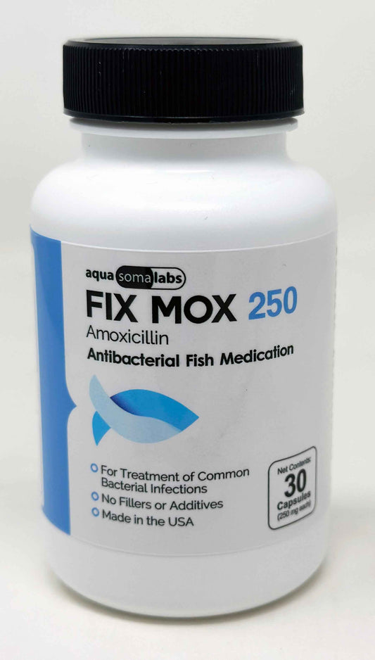 Fix Mox 250mg Amoxicillin – 30ct Fish Antibiotic Bottle for Aquariums
