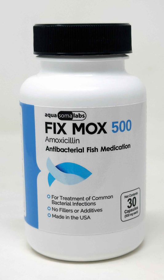 Fix Mox 500mg Amoxicillin Capsules – 30ct Bottle – Fish Antibiotic for Aquariums