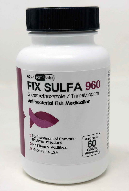 Fix Sulfa 960mg - 60 Count